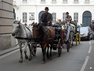 Bild: Pferdekutsche und Kutscher in Wien