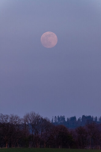 Bild: Vollmond