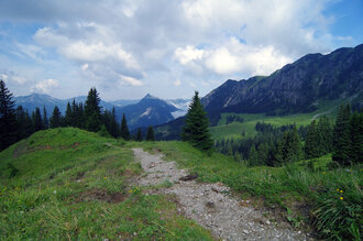 Bild: Wanderweg (Alpen, Österreich)