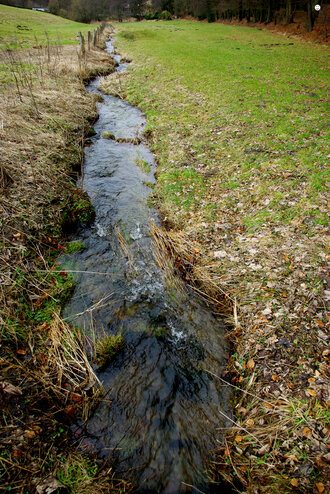 Bild: Bach im Sauerland