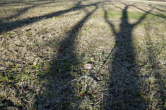 Bild: Schatten