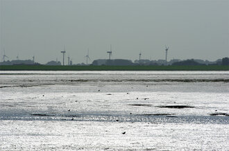Bild: Wattenmeer
