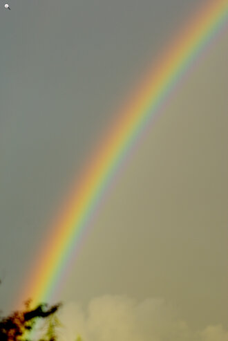 Bild: Regenbogen