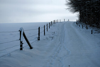 Bild: Winterweg