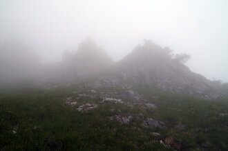 Bild: Nebel