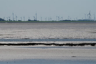 Bild: Wattenmeer (Nordsee) und Windräder