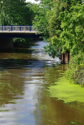 Bild: Fluss in Norden (Ostfriesland)