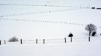 Bild: Schneelandschaft