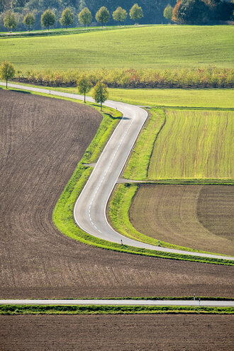 Bild: Landstraße in Rheinland Pfalz