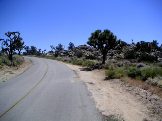 Bild: Joshua-Tree-Nationalpark (Kalifornien, USA)