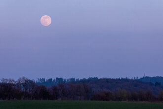 Bild: Vollmond