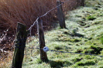 Bild: Stacheldraht