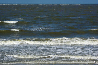 Bild: Nordsee: Sandbank