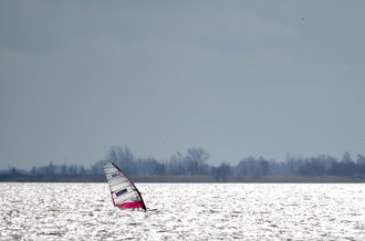 Bild: Windsurfen