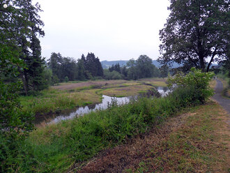 Bild: Renaturierung der Wenne (Fluss im Sauerland)