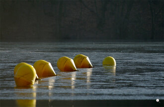 Bild: Bojen auf zugefrorenem See