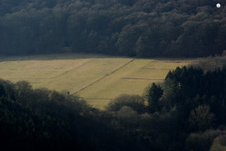 Bild: Wald und Felder