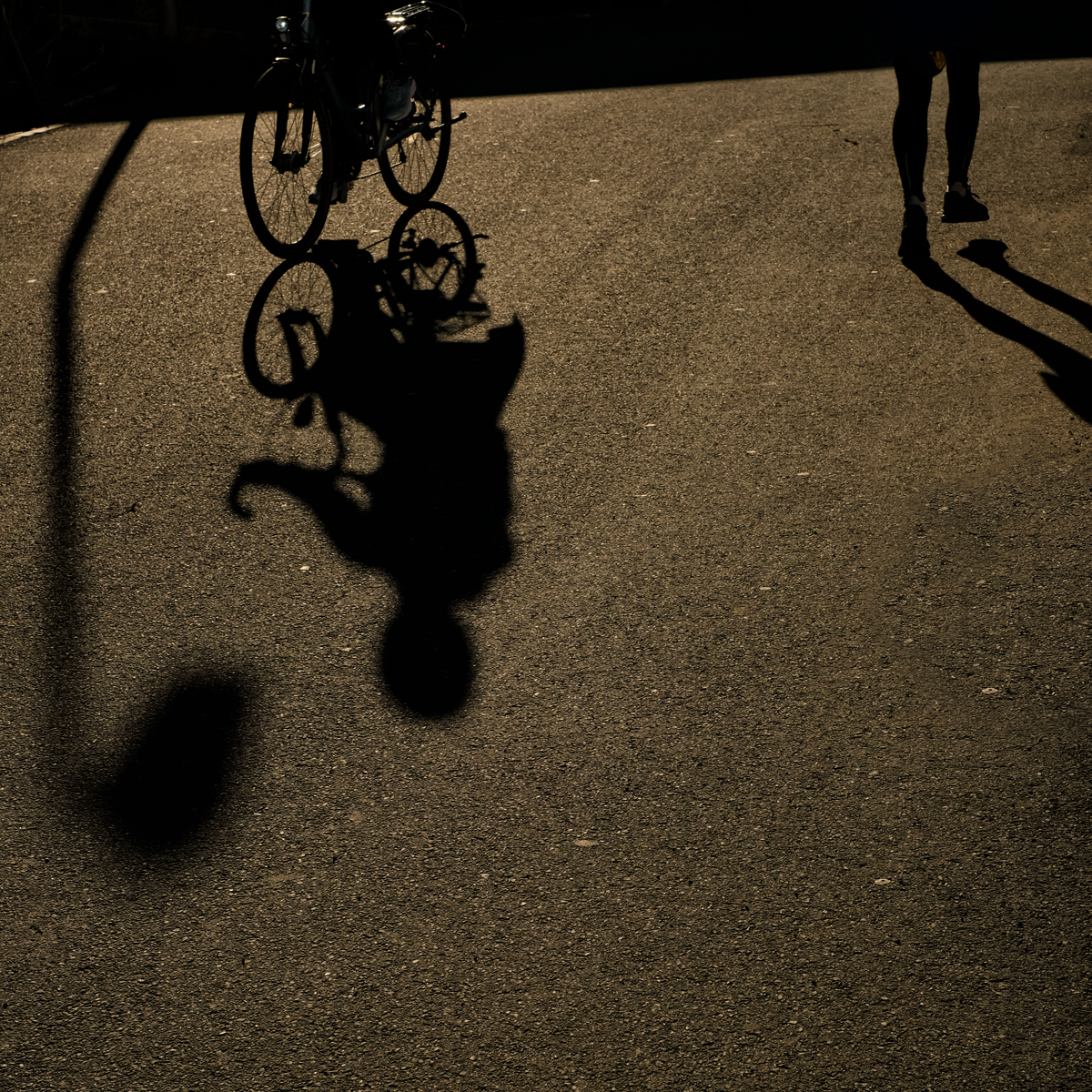 Bild: Fahrrad fahren und joggen: Schatten