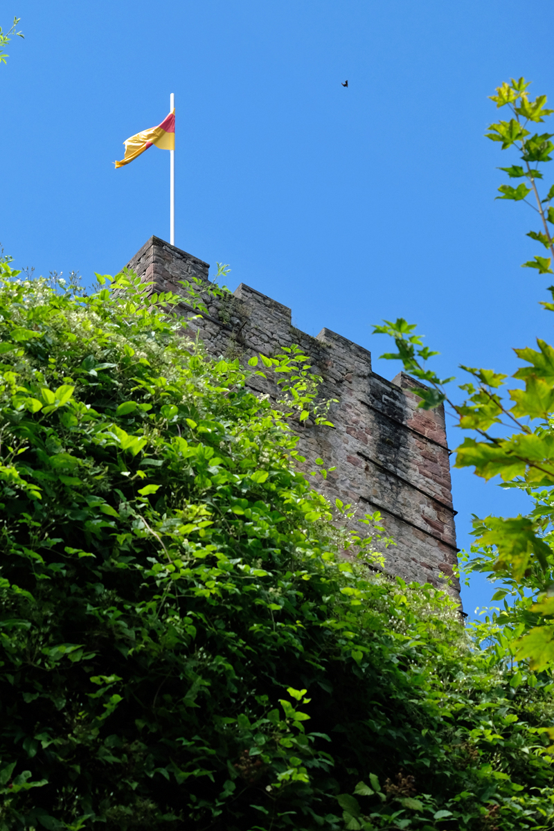 Bild: Schloss Hornberg