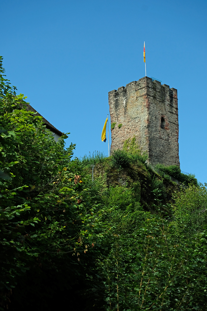 Bild: Schloss Hornberg
