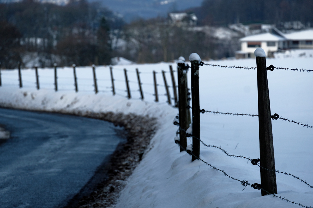 Bild: Zaun im Schnee