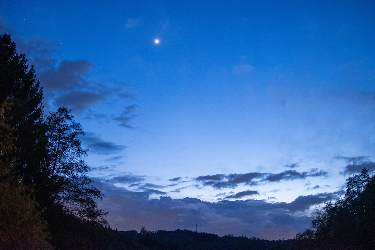 Bild: Der Planet Venus am Abendhimmel