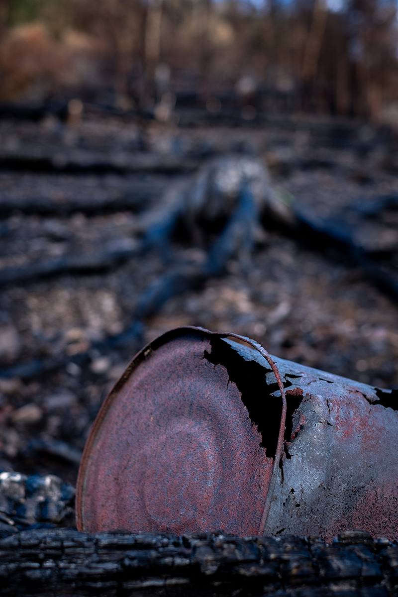 Bild: Metallbehälter oder Eimer in einem Wald nach einem Waldbrand