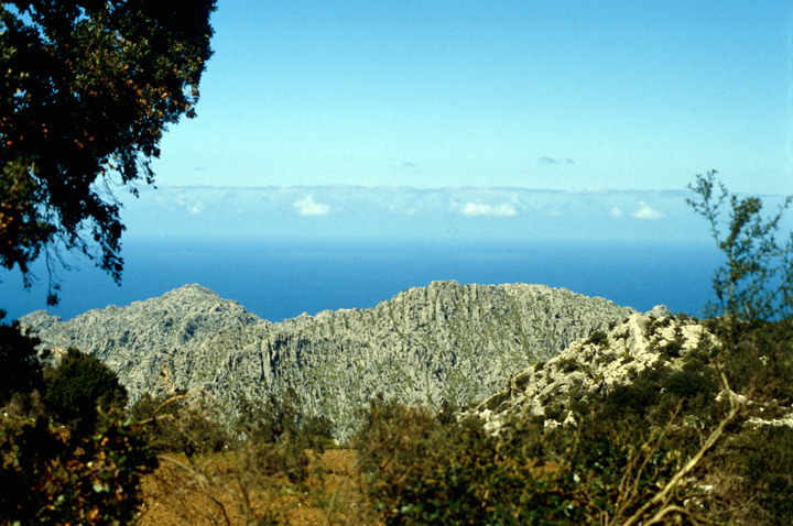Bild: Mallorca, nahe Cap Formentor