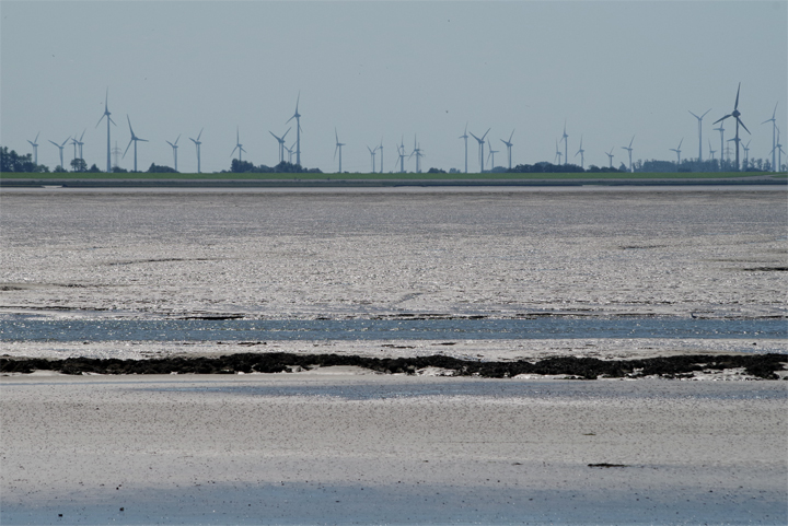 Bild: Wattenmeer (Nordsee) und Windräder