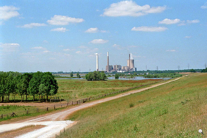Bild: Rheinaue bei Walsum (Duisburg), im Hintergrund ein Kraftwerk