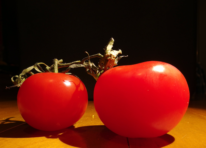 Bild: Gemüse: Tomaten