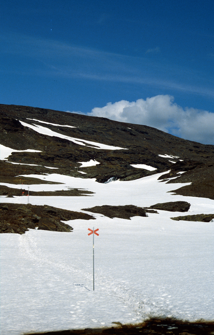 Bild: Schweden: Abisko-Nationalpark