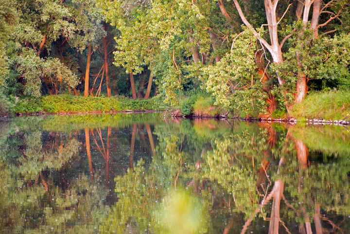 Bild: Leine (Fluss bei Hannover): Spiegelung