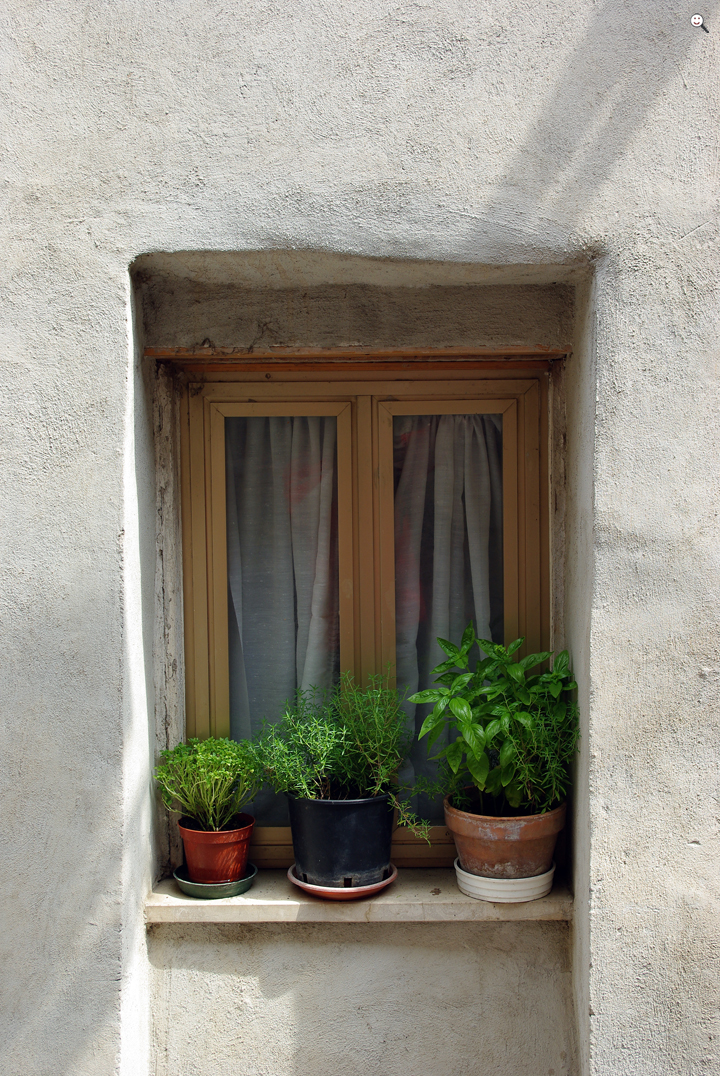 Bild: Fenster mit Kräuterpflanzen