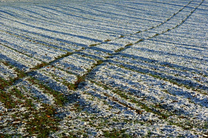 Bild: Acker im Schnee