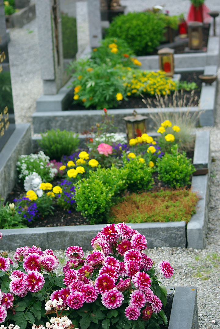 Bild: Gräber auf einem Friedhof