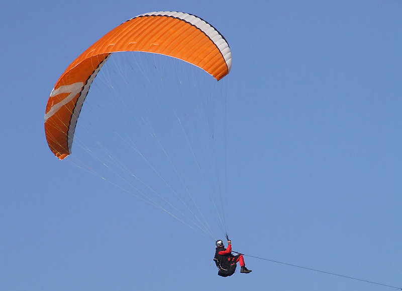Bild: Paragleiter