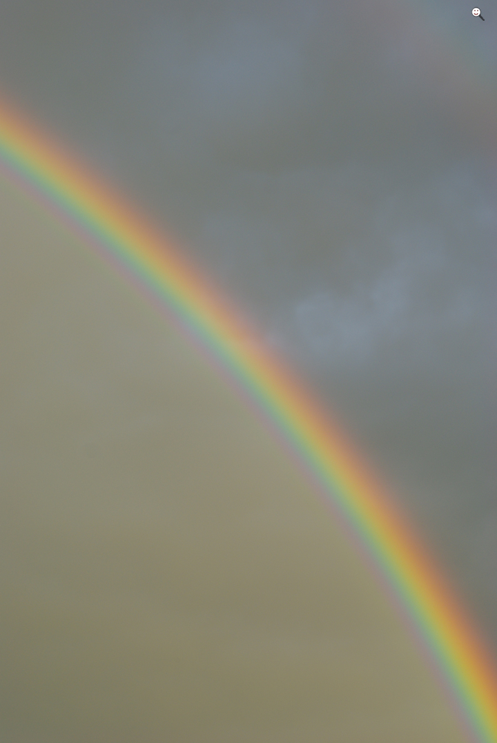 Bild: Regenbogen