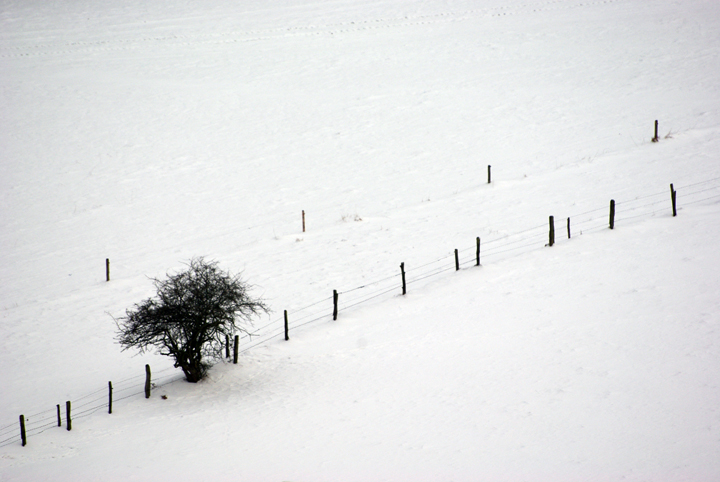 Bild: Winterlandschaft