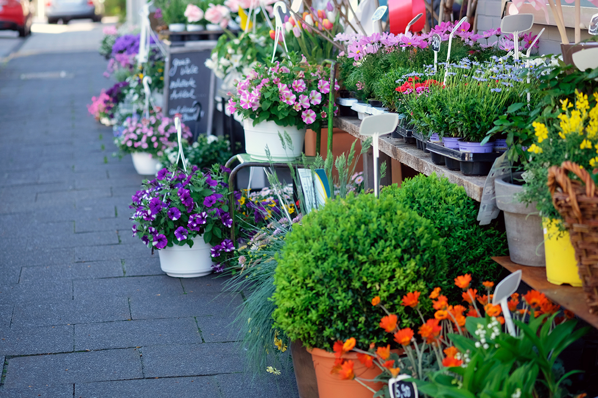 Bild: Blumenverkauf auf dem Markt